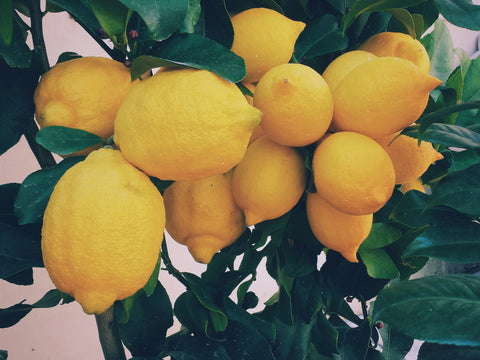 Set a Fresh Lemon Table Setting with Artisan Flatware