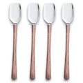 MEDICKI STILTON SPOON 4 PC. SET - INOX Artisans